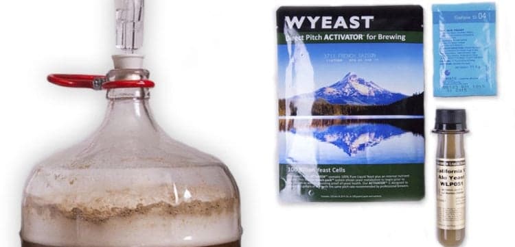 Advanced Yeast Management