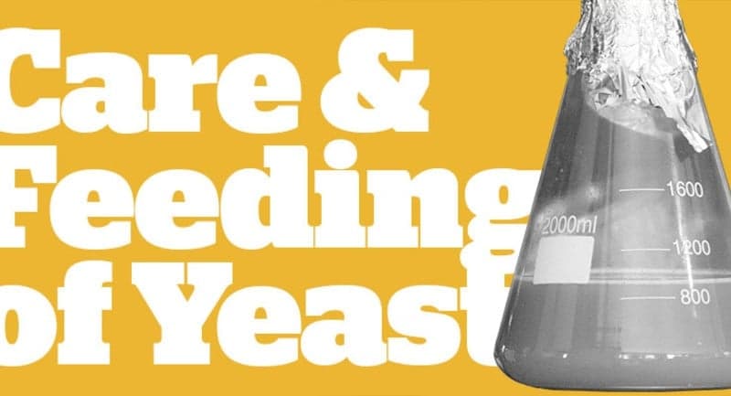 Care & Feeding of Yeast