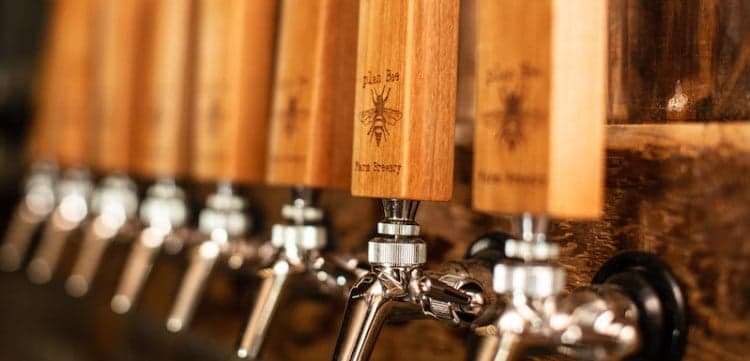 Farming for Beer with Plan Bee Farm Brewery
