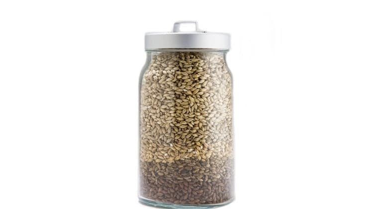 Fundamentals of Malt