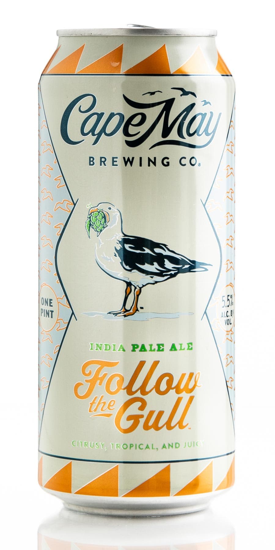 Follow the Gull