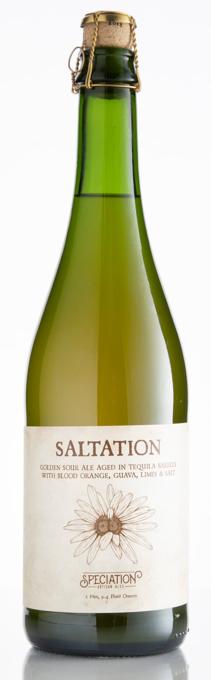 Saltation