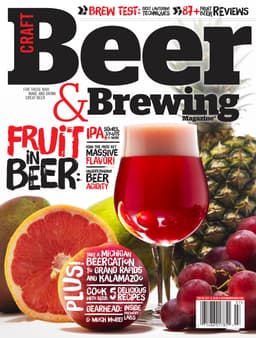 Fruit in Beer (June-July 2017)