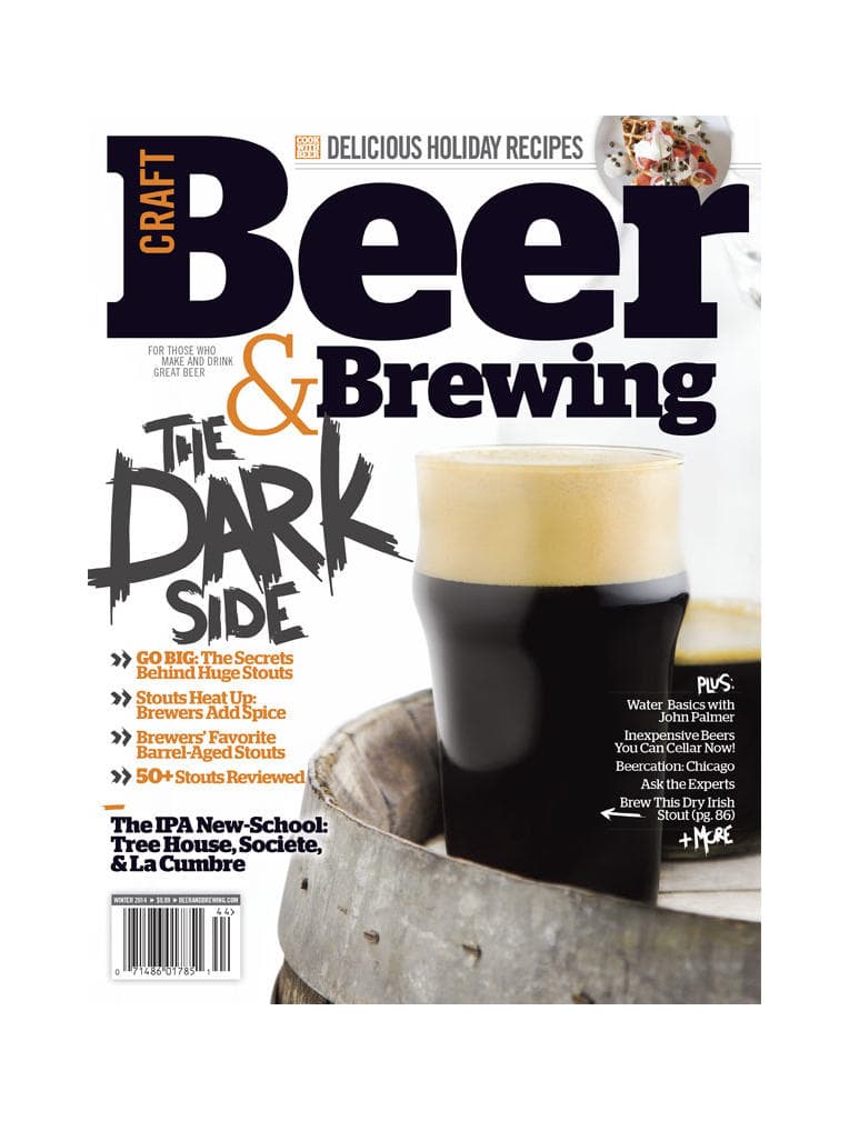 The Dark Side (Winter 2014) cover