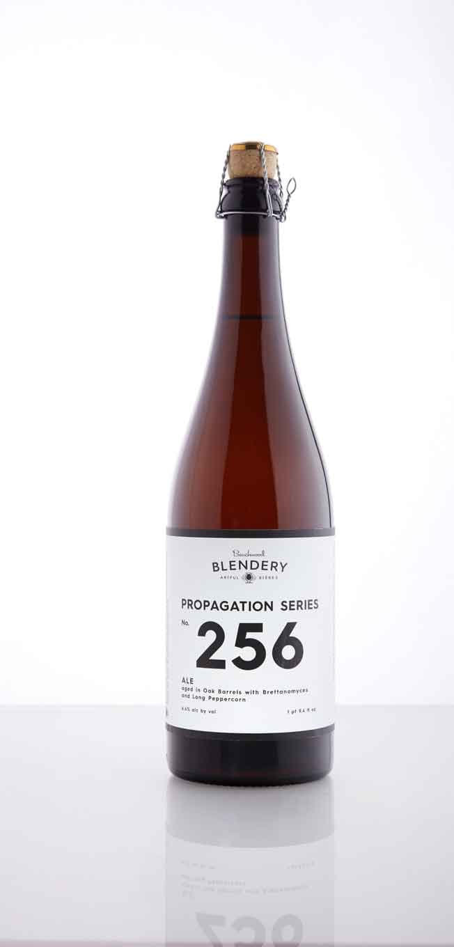 Propagation Series 256