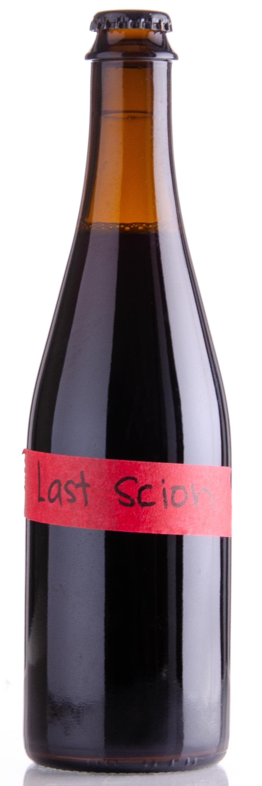 Last Scion