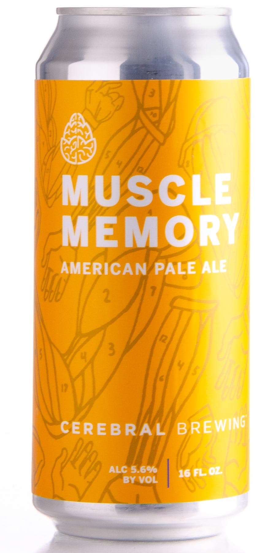 Muscle Memory