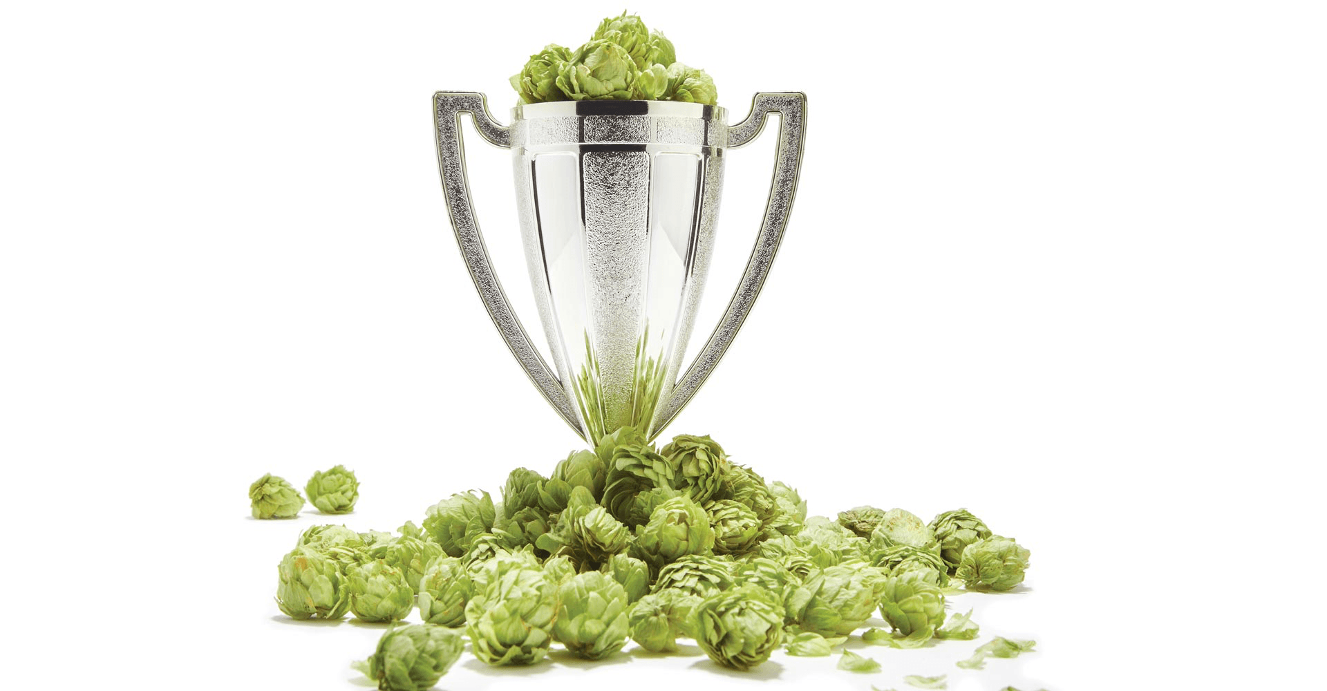 Craft Beer & Brewing Magazine Best in Beer 2016: Critics' Choice