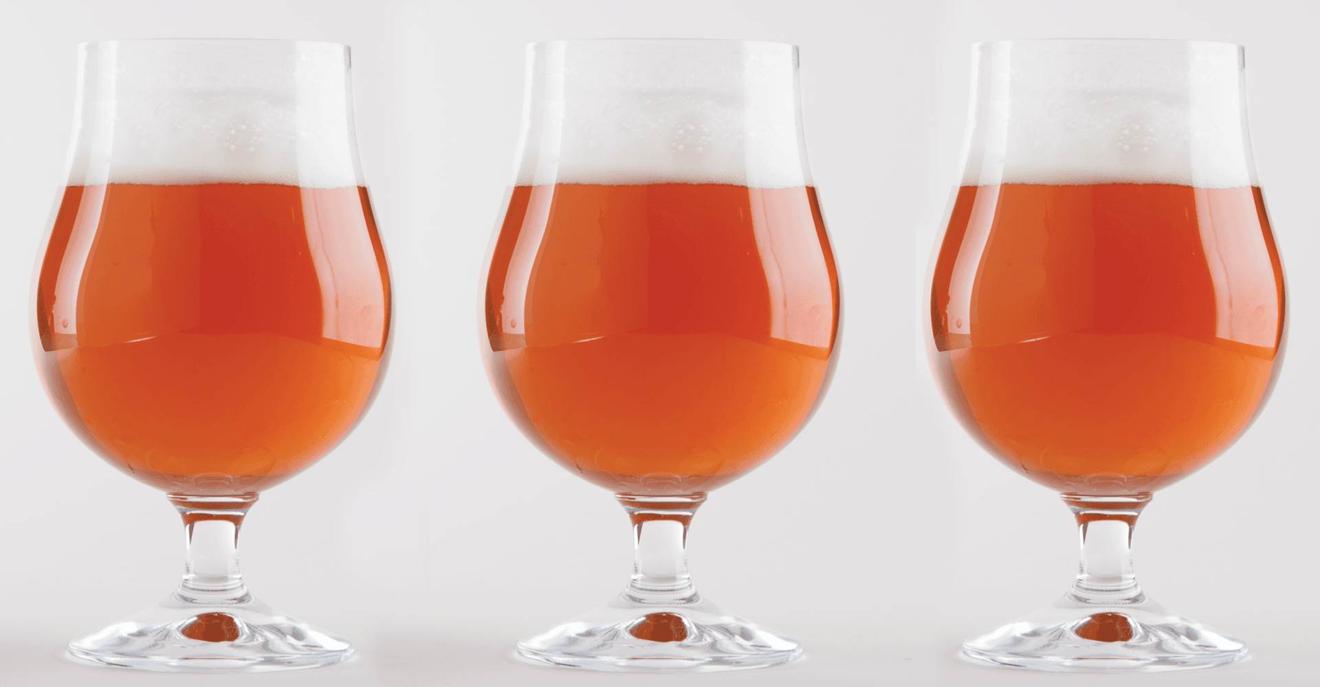Tag Team Pale Ale Recipe