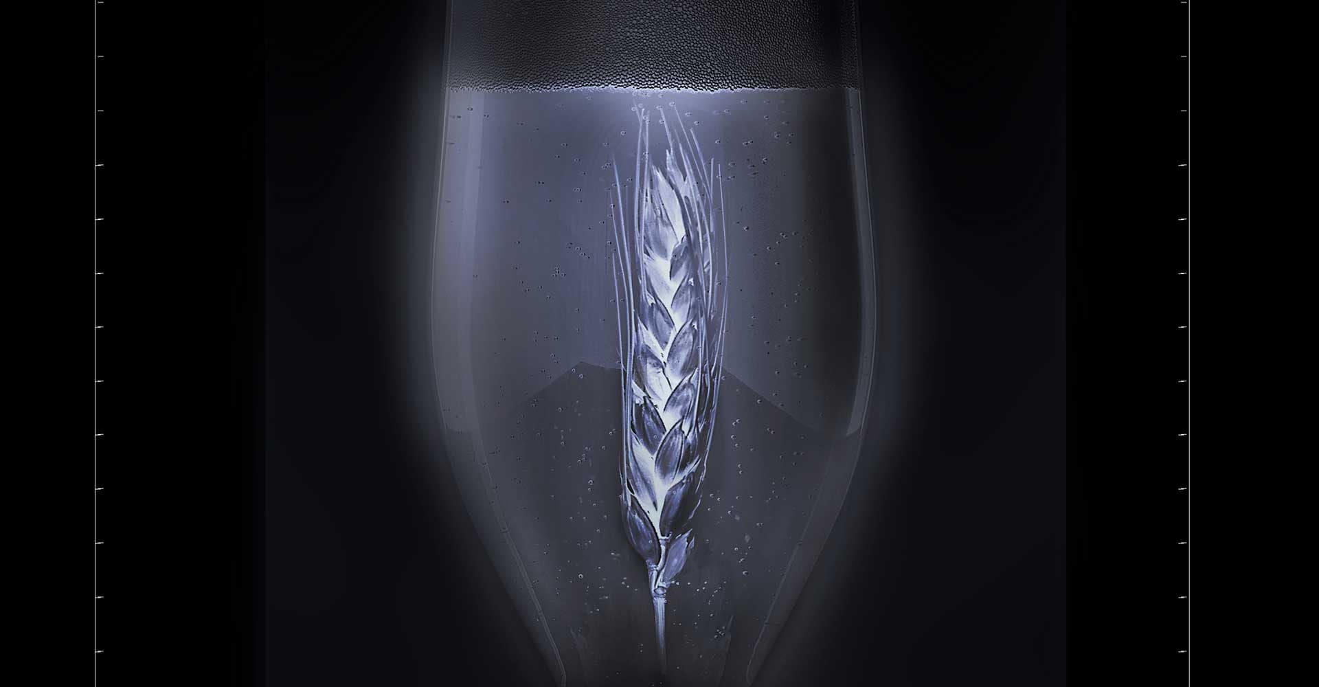 Let’s Demystify Rye