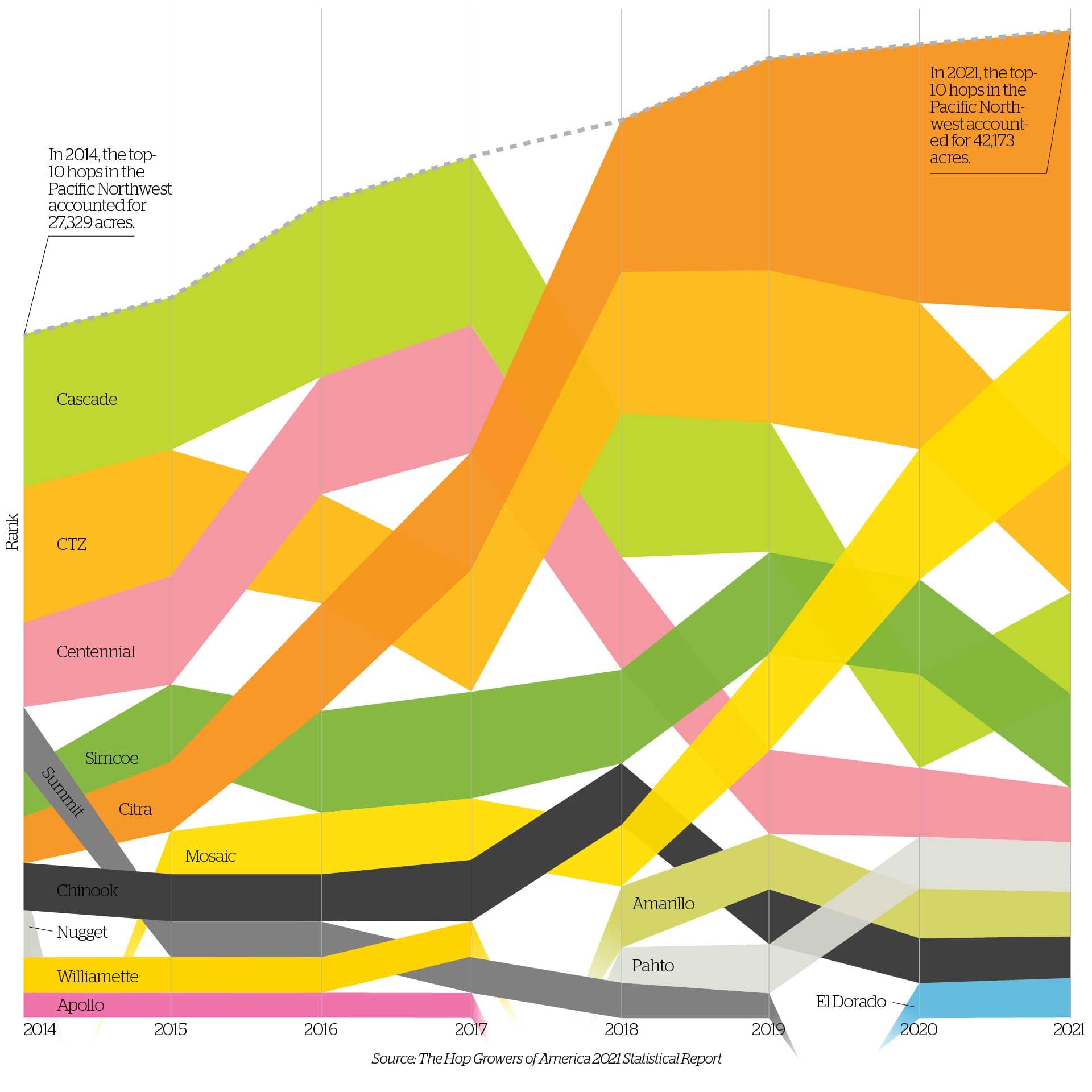 Infographic: Top Hops Going into 2022