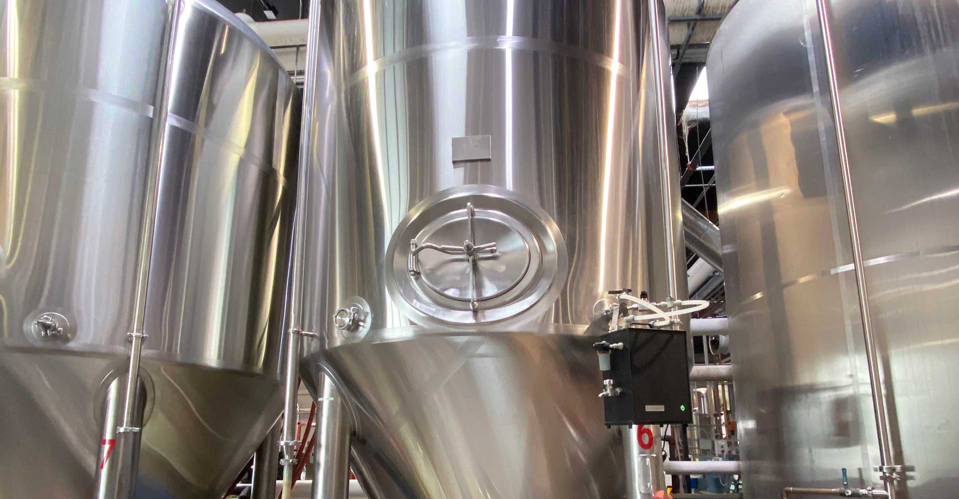 Identifying Issues with Your Yeast: A Look at Fermentation Data Curves