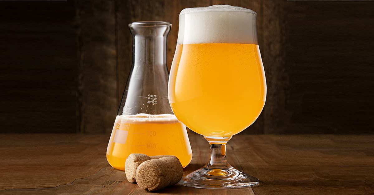 Mixing It Up: Complex Fermentations, Made Simpler