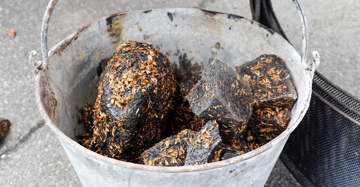 The Means of the Stone Age: Hot Rocks in Ancient Brewing