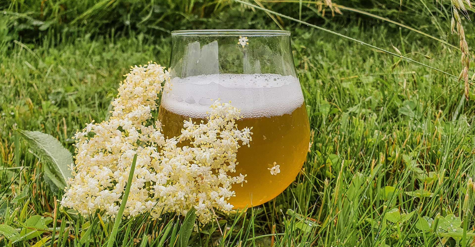 Special Ingredient: Elderflower
