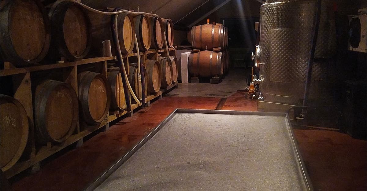 Capturing Indigenous Yeast Cultures with Antidoot