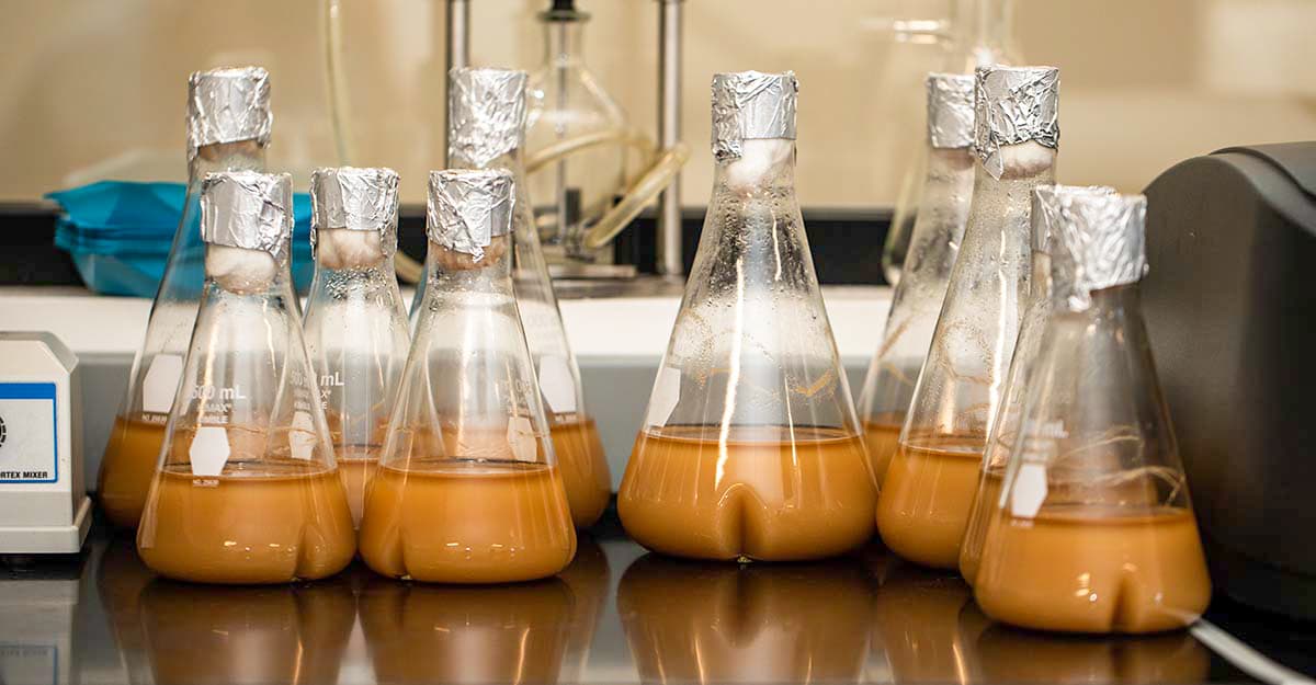 Video Tip: The Benefits of Open Fermentation