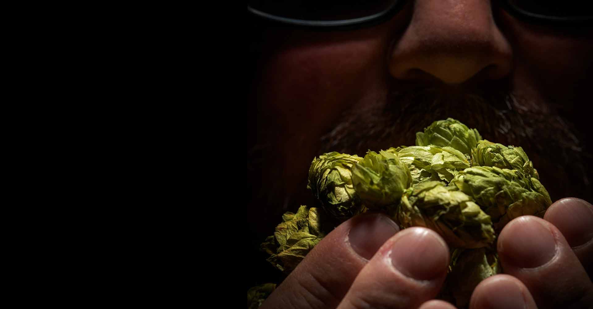 Flavor Fever: Deconstructing the Heady Aromas of IPA