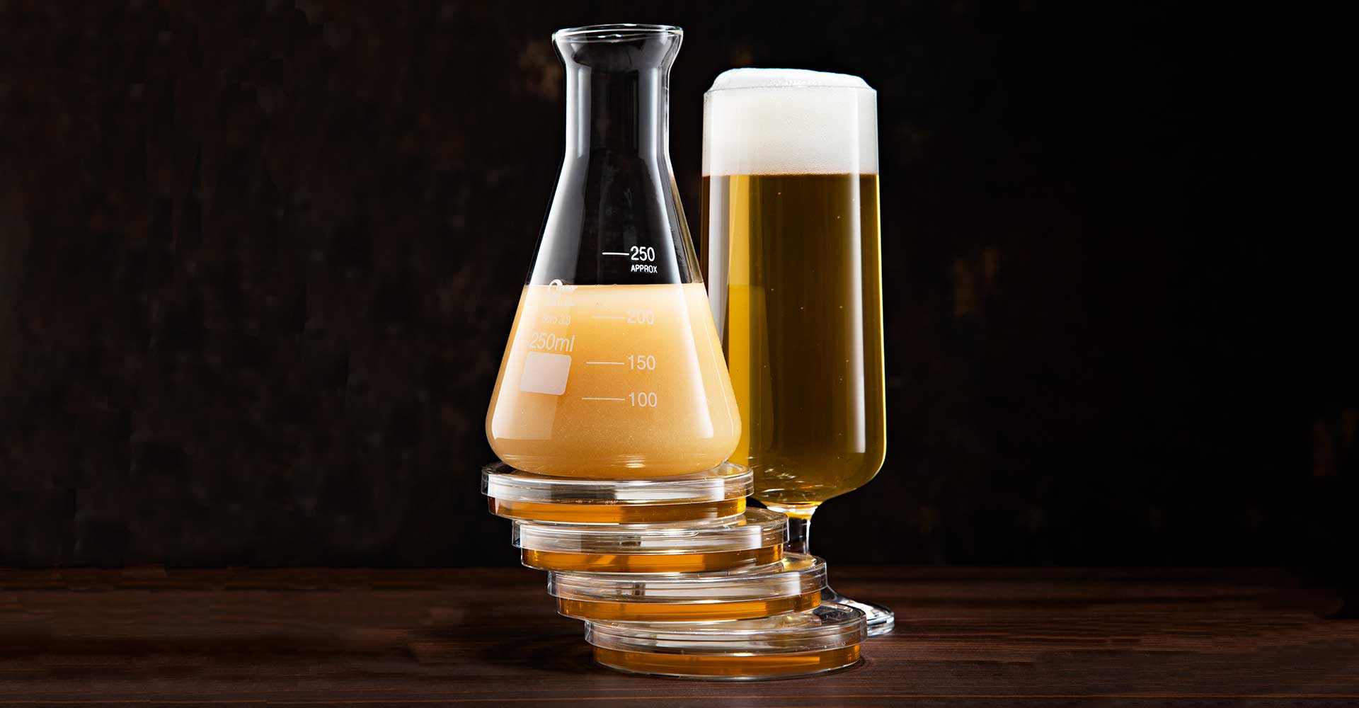 Cold, Healthy & Crowded: Lager Fermentation, Simplified