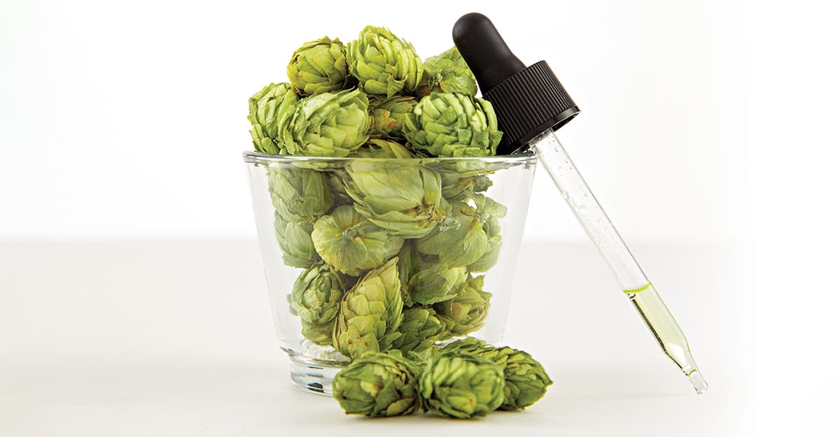 Terpenes: Brewing with the Essence of Hops