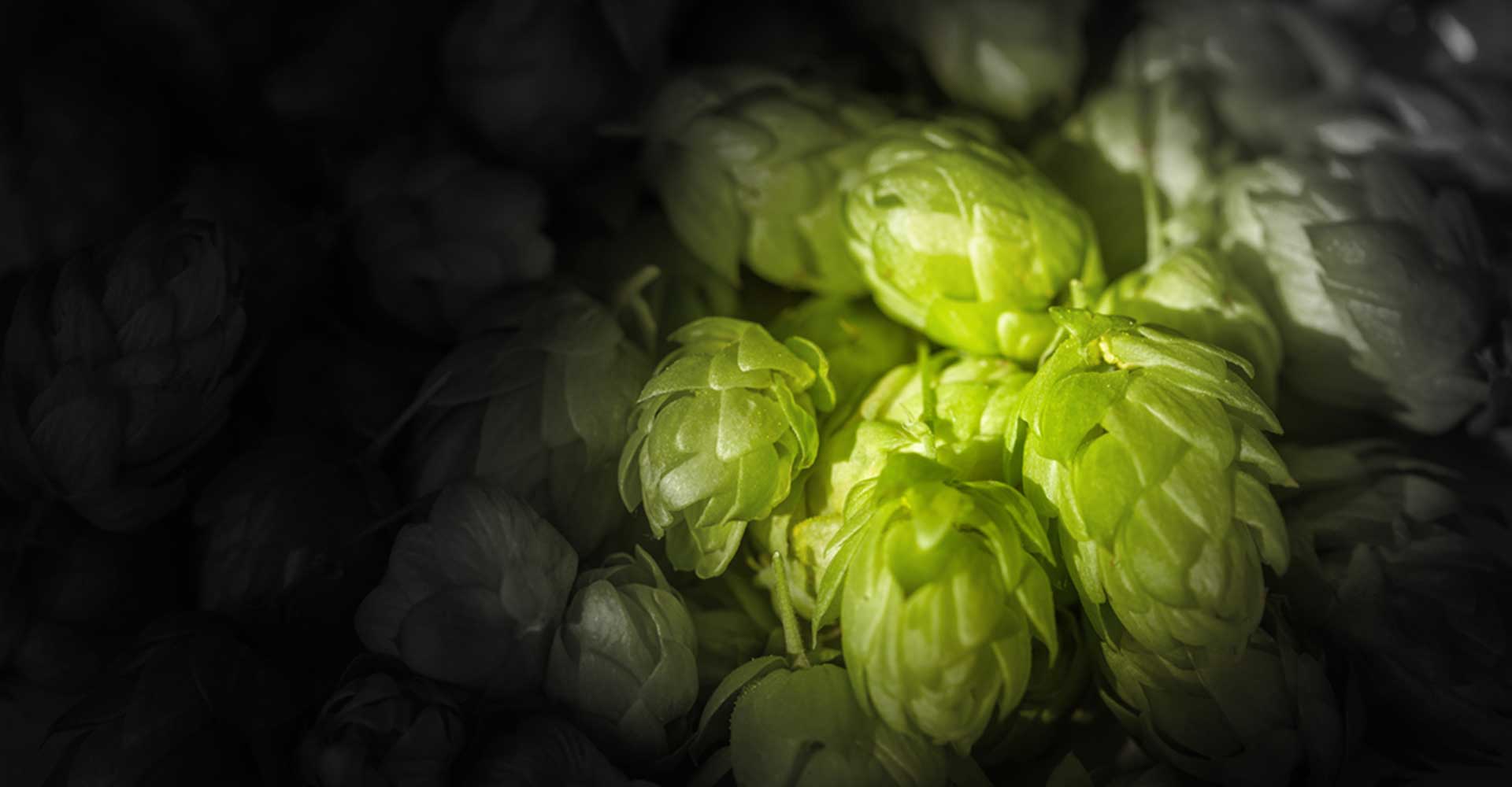 The Causes and Effects of Hop Creep—and How to Prevent It