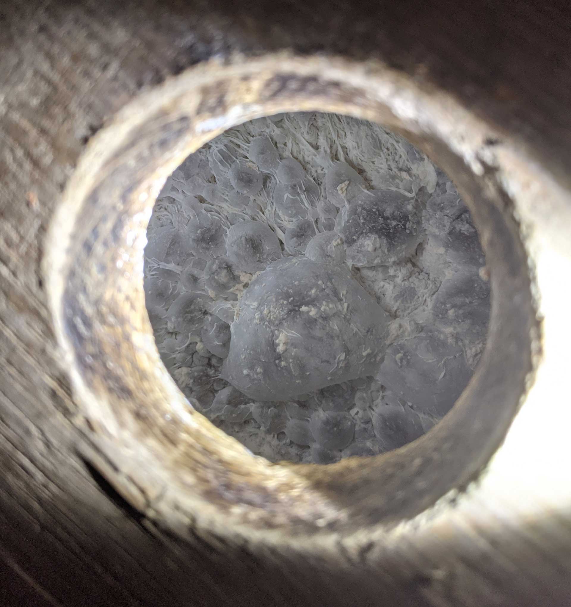 The Threefold Path: Floodland’s Adam Paysse Shares Insight on Rearing Mixed Cultures