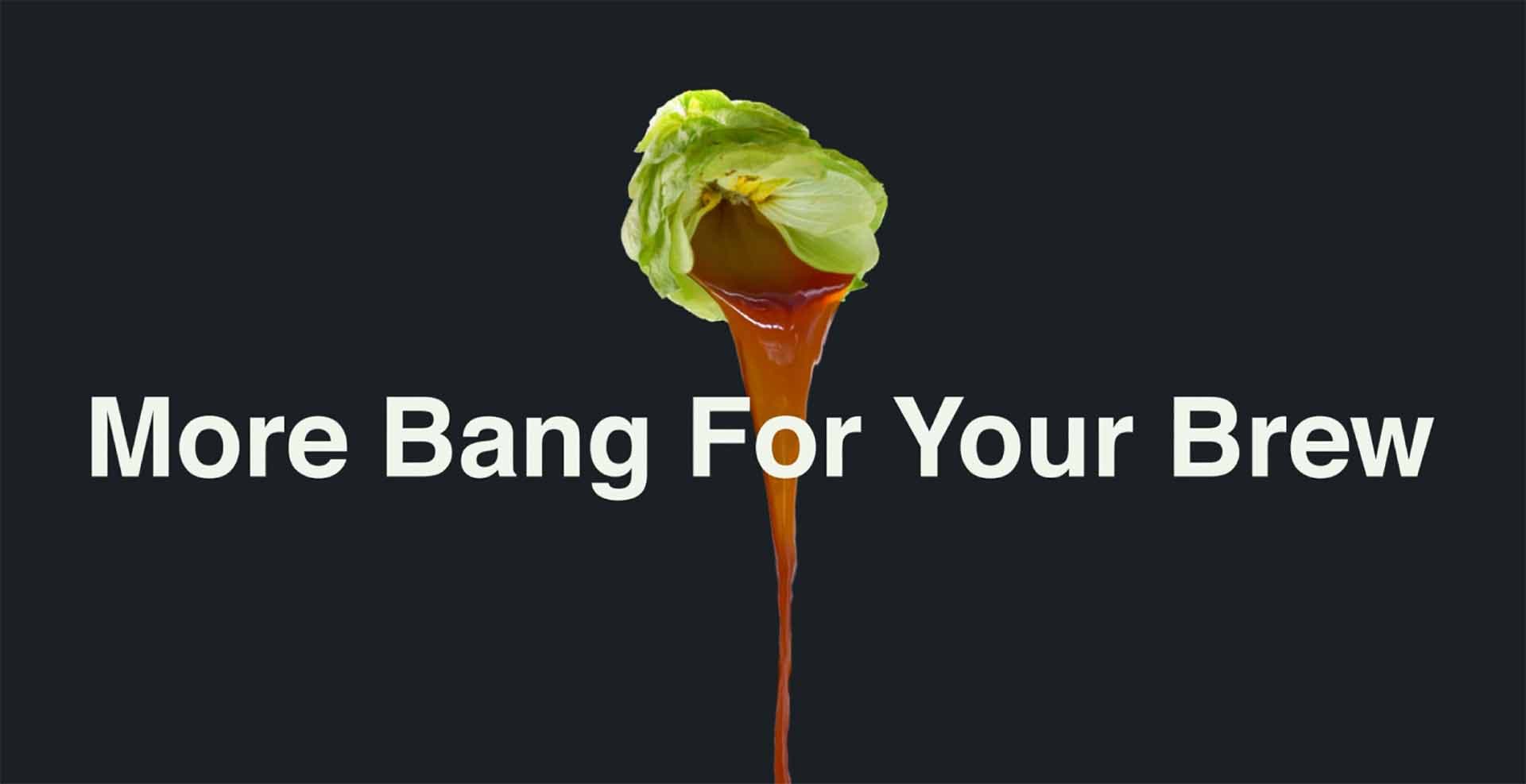 Crowd-Craved Flavor Without Kettle-Crowding Vegetation