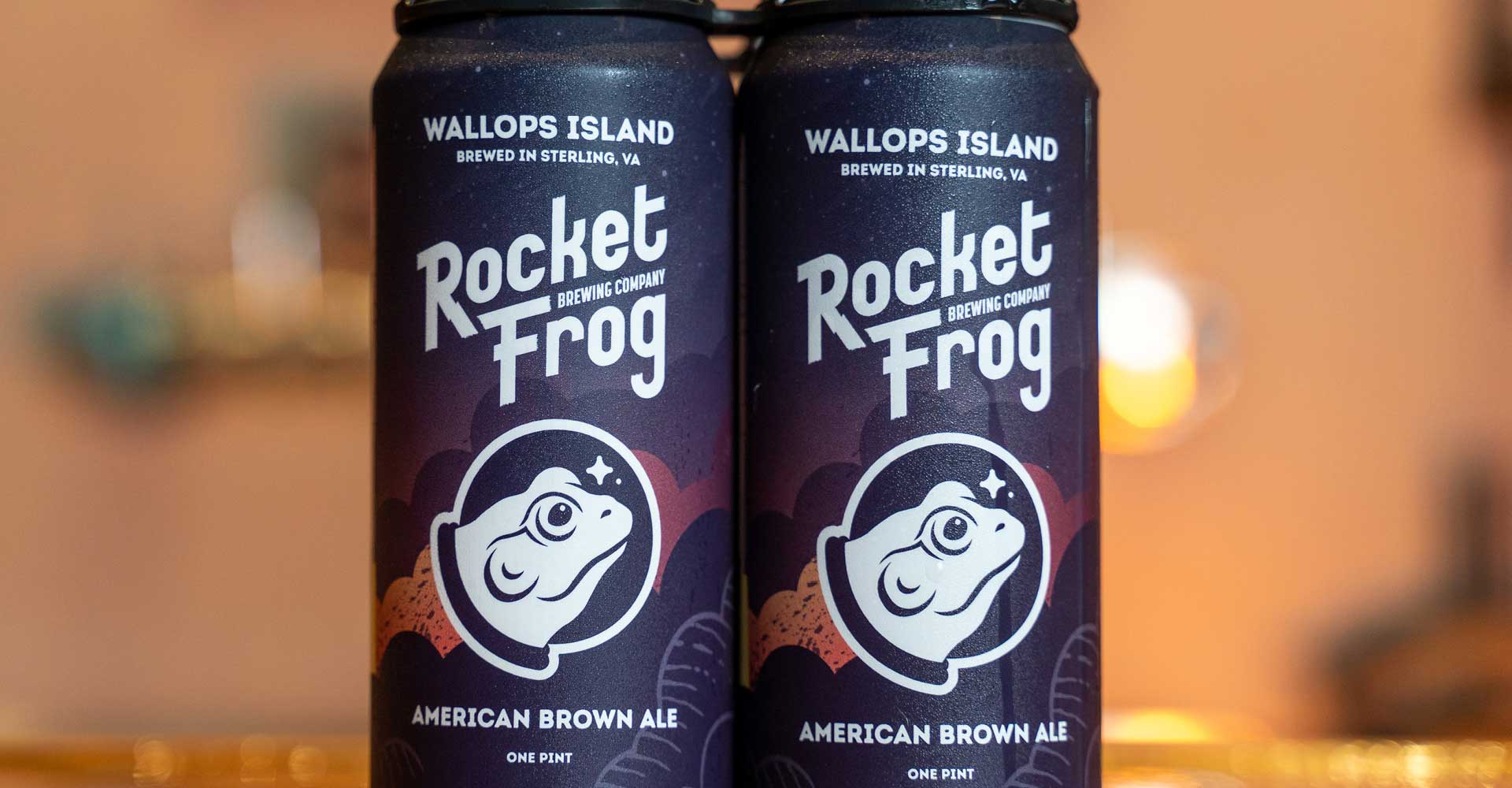 Brewer’s Perspective: Brewing Brown Ale & Winning with Rocket Frog