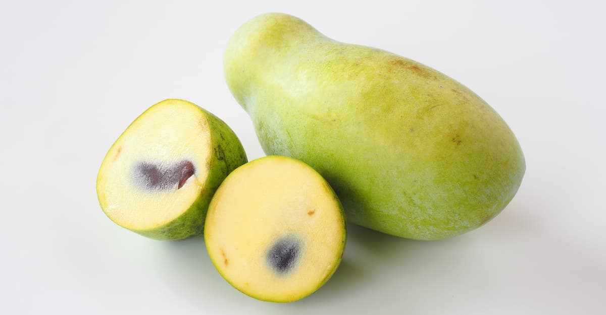 Special Ingredient: Pawpaw