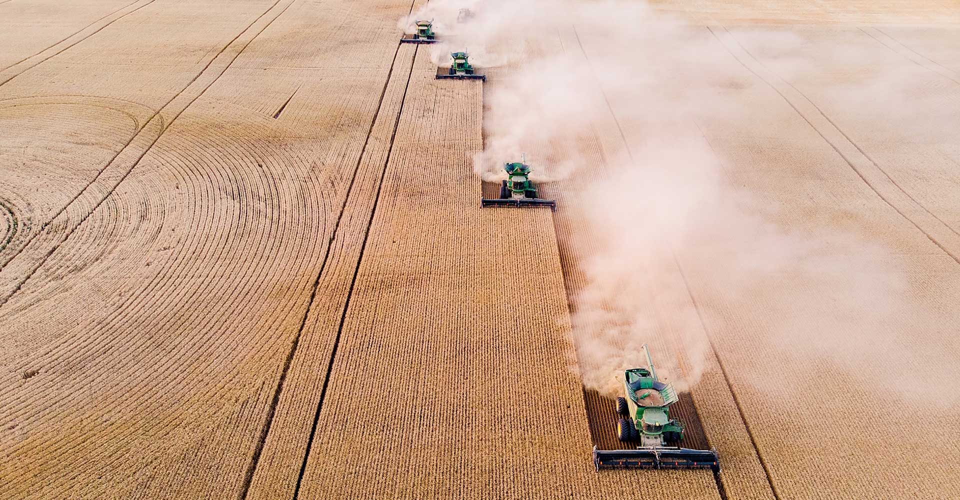 Farming for Craft: New Barley & Malt Varieties Respond to Brewer Demand