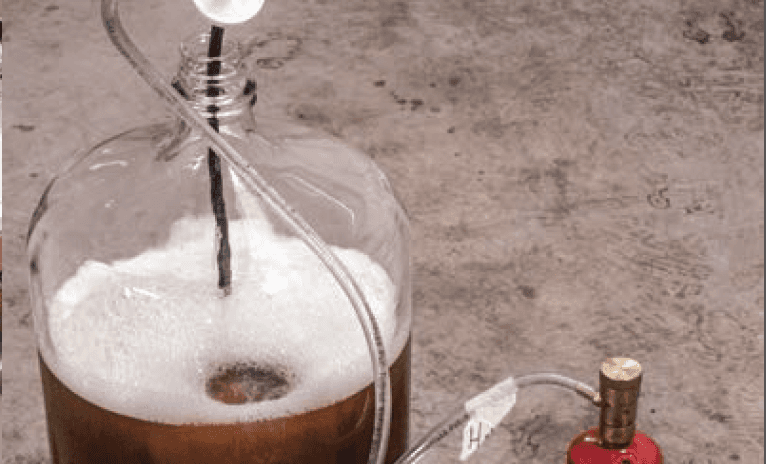 Air on the Side of Yeast Health