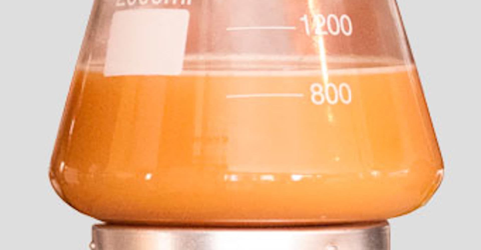 4 ways to Aerate and Agitate your Yeast Starter