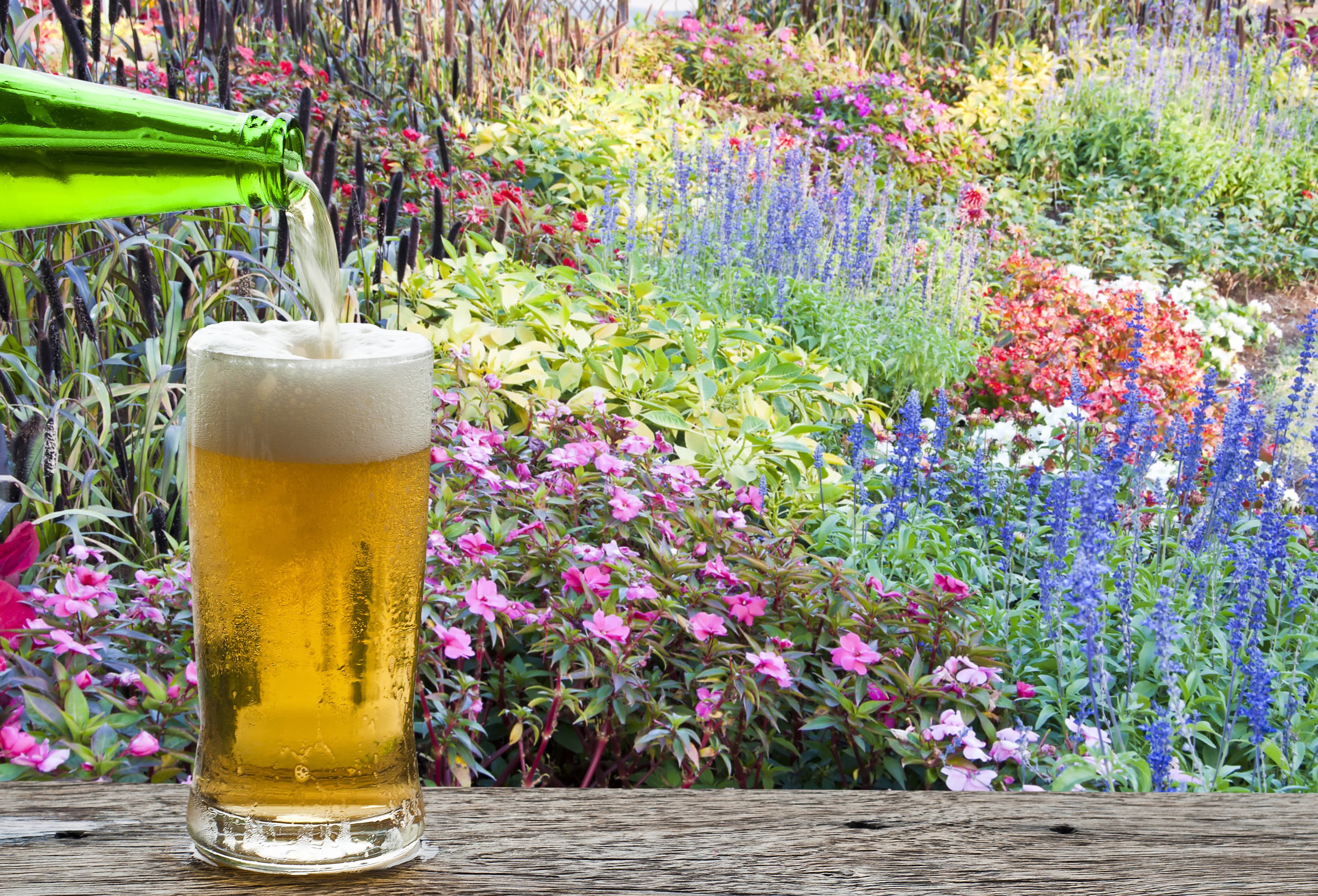 The Brewer’s Garden: Flower Power Part I