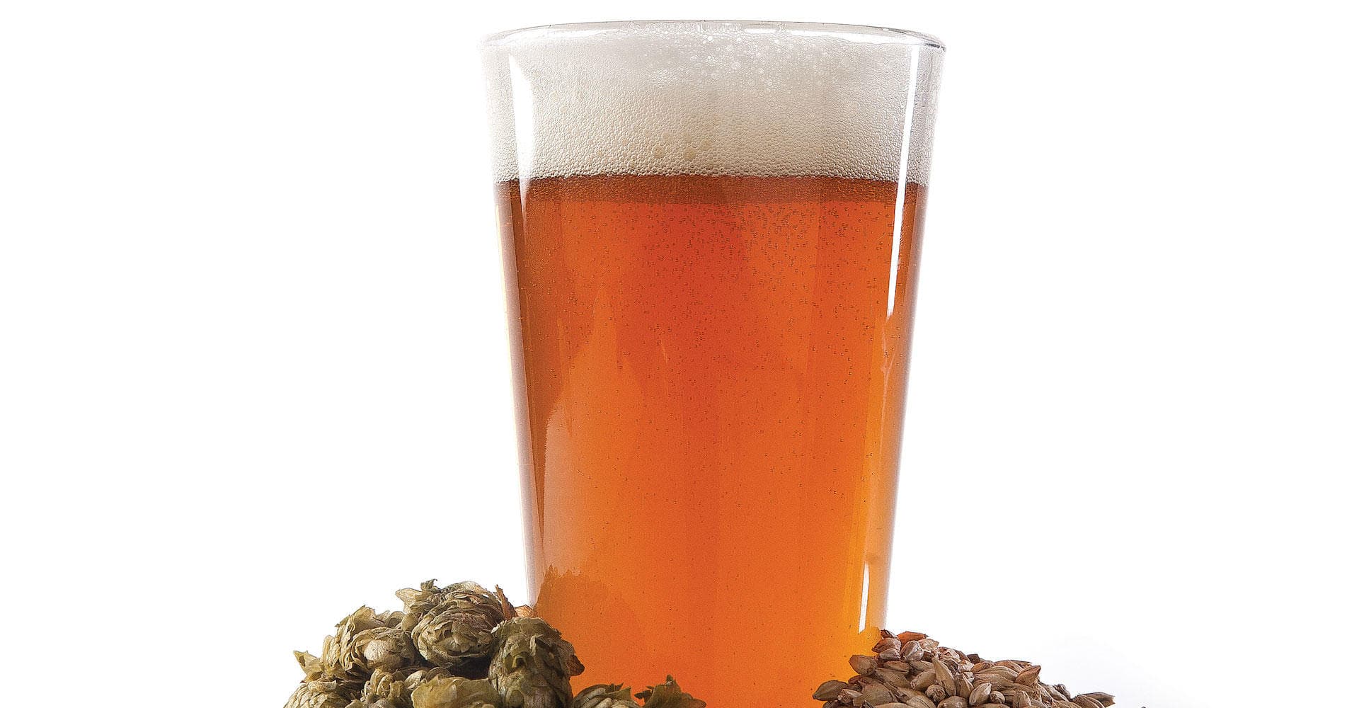 Make Your First Batch an IPA