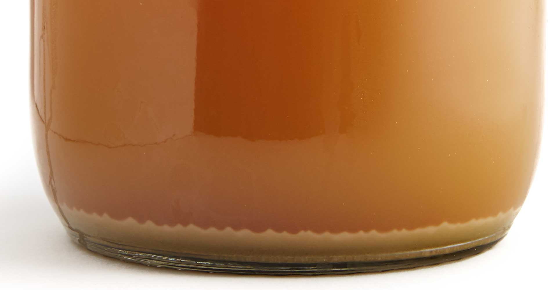 Fermentation Resurrection: Reusing Yeast