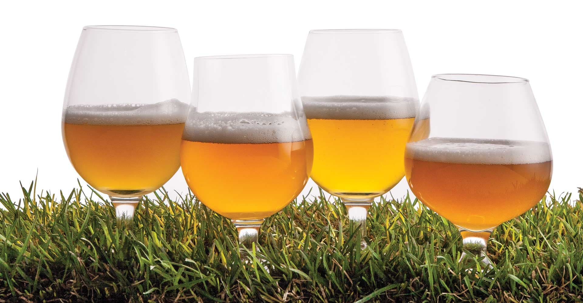 The Classic Saison Recipe