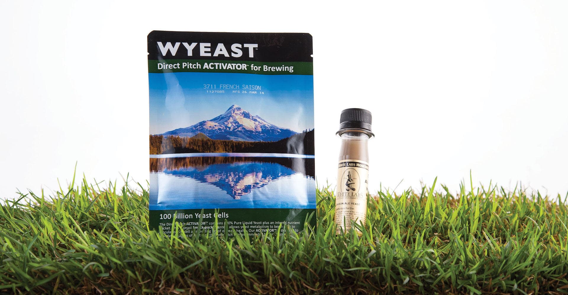 Fermentation Fascination