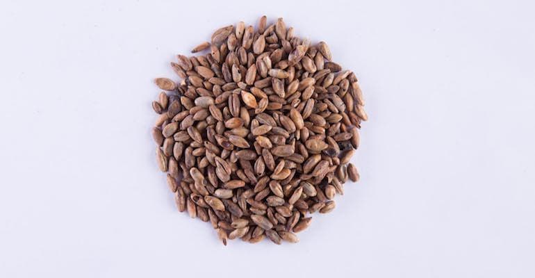 Exchange Rates II: Specialty Grains