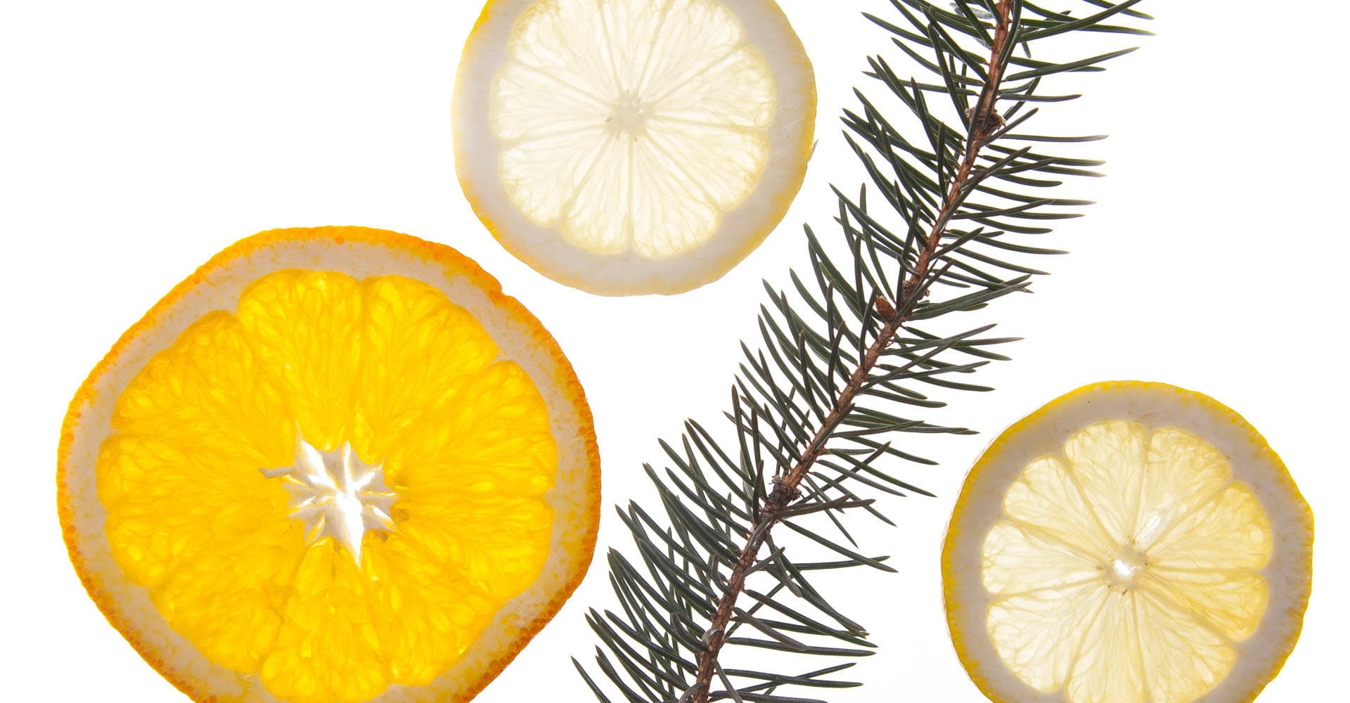 Gather No Moss – Inside The Alchemist's Heady Topper