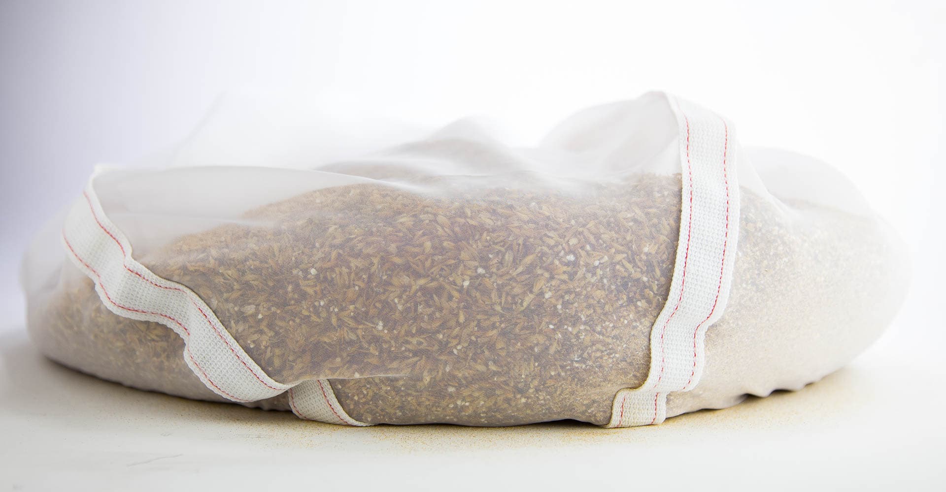 Brewing in a Bag