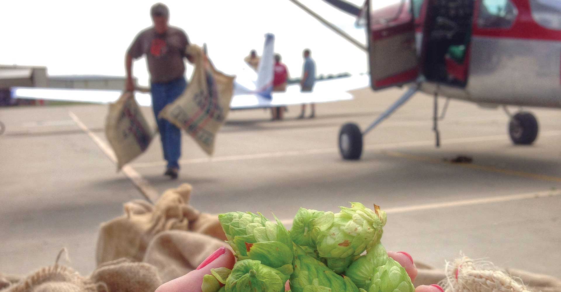 Brewers’ Perspectives: The Last Seasonal