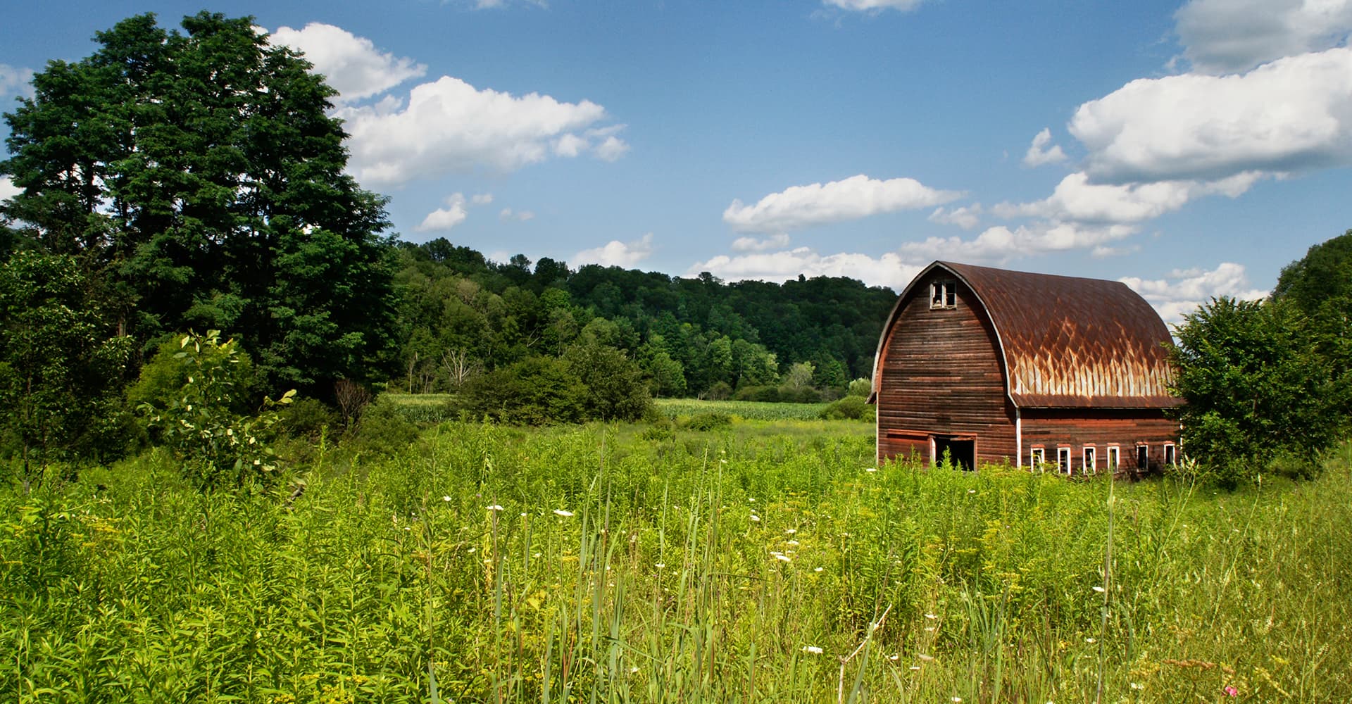 8 American Farmhouse Breweries