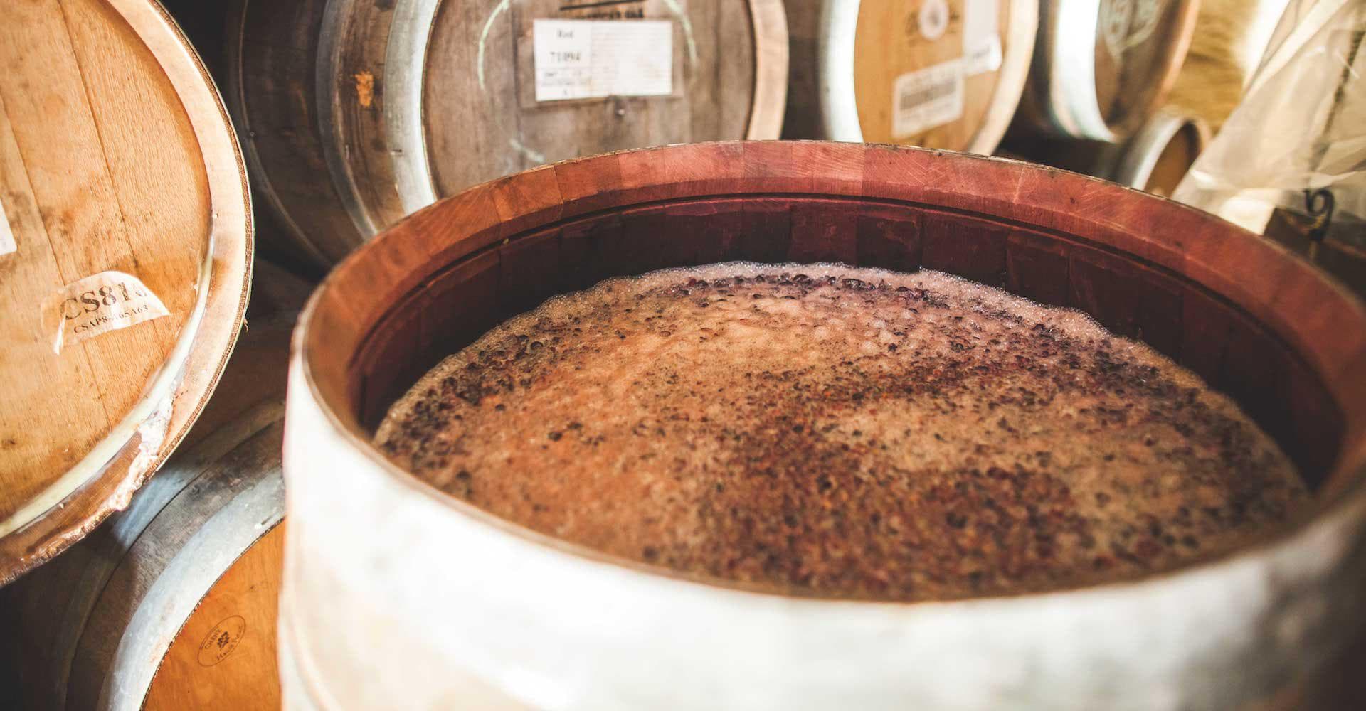 Breakout Brewer: Jester King Brewery