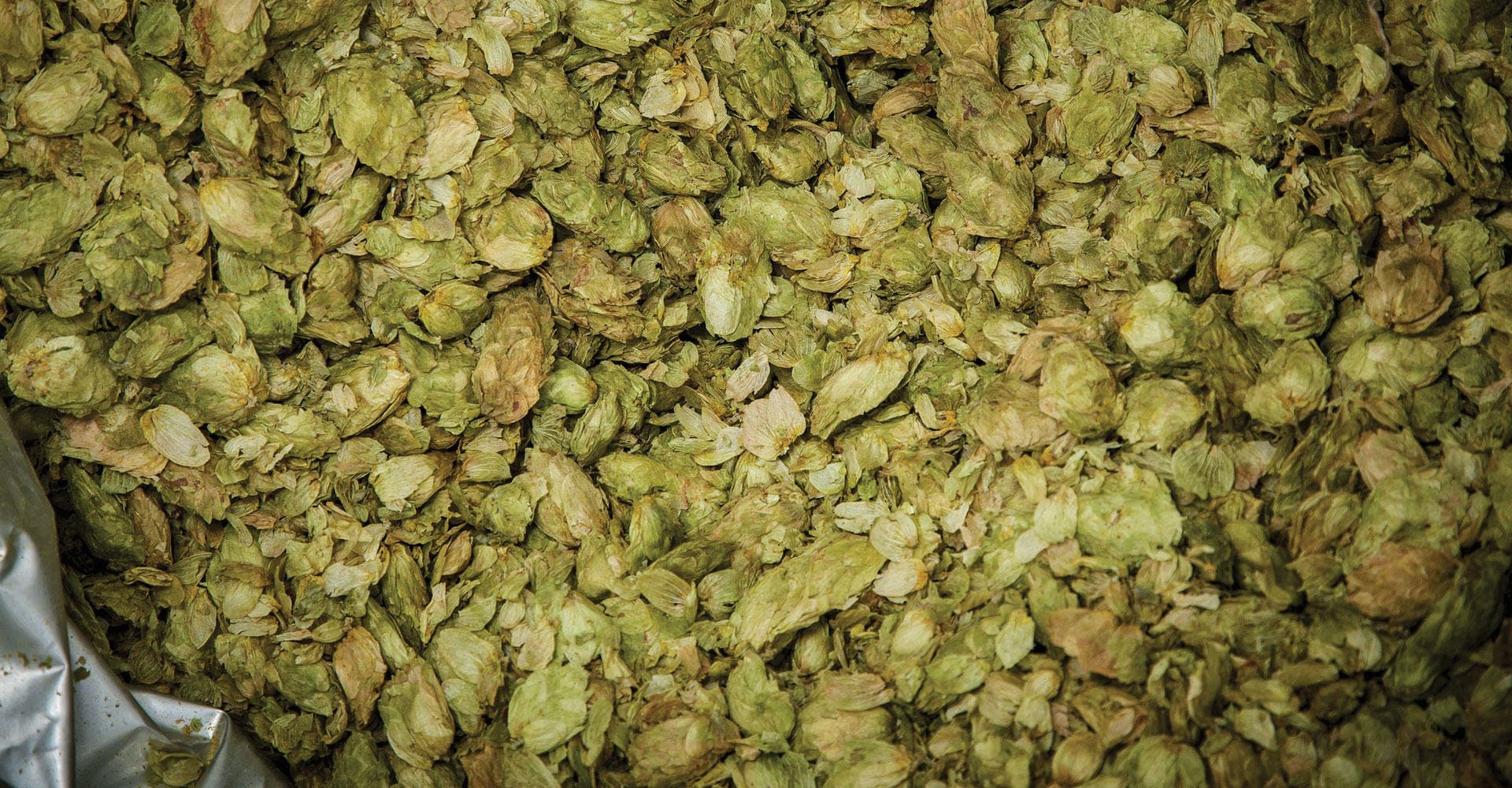 Hops Utilization