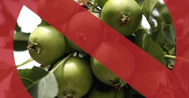 Off-Flavor of the Week: Acetaldehyde