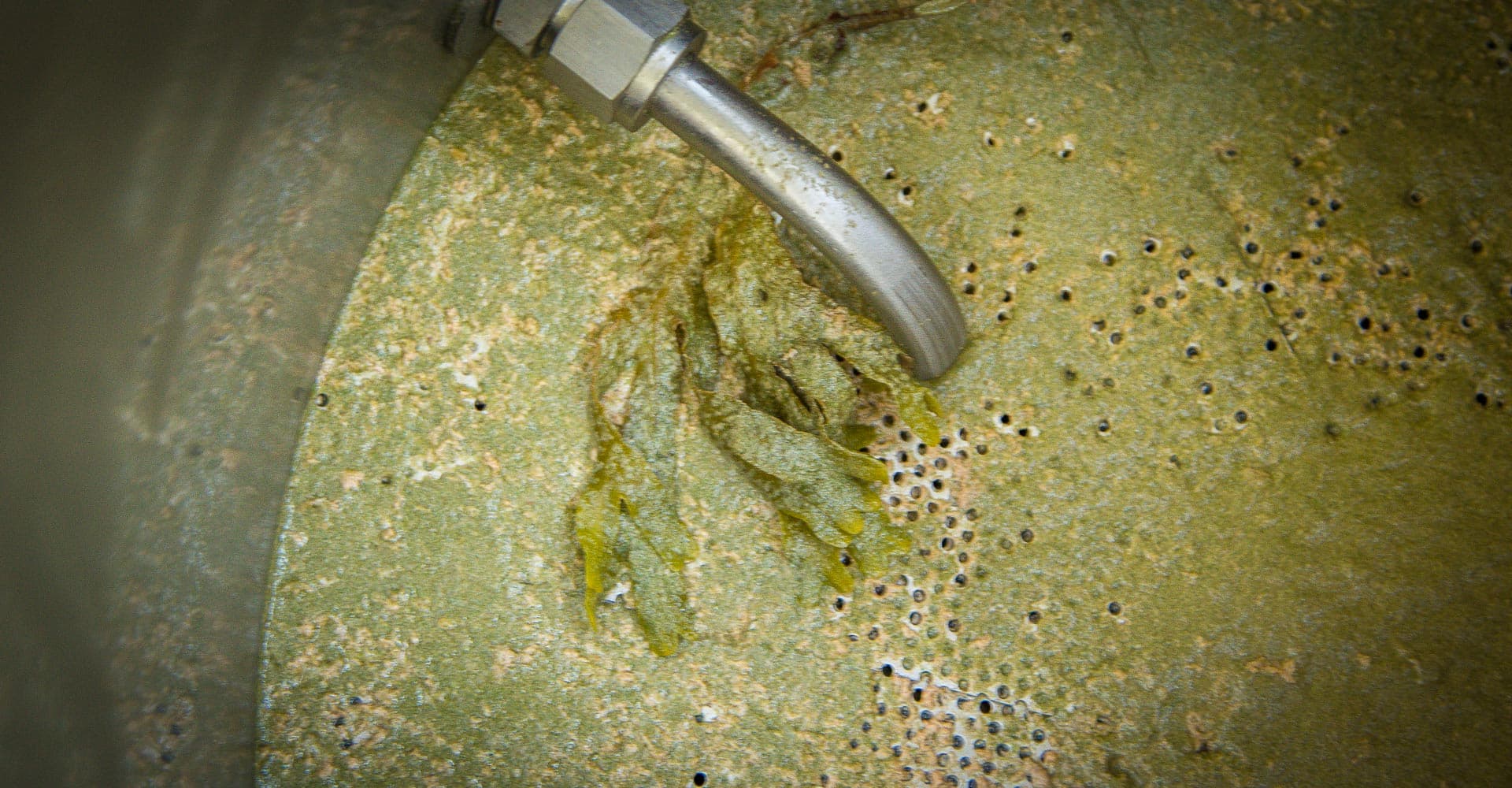 Ask the Experts: Separating Hops from Wort