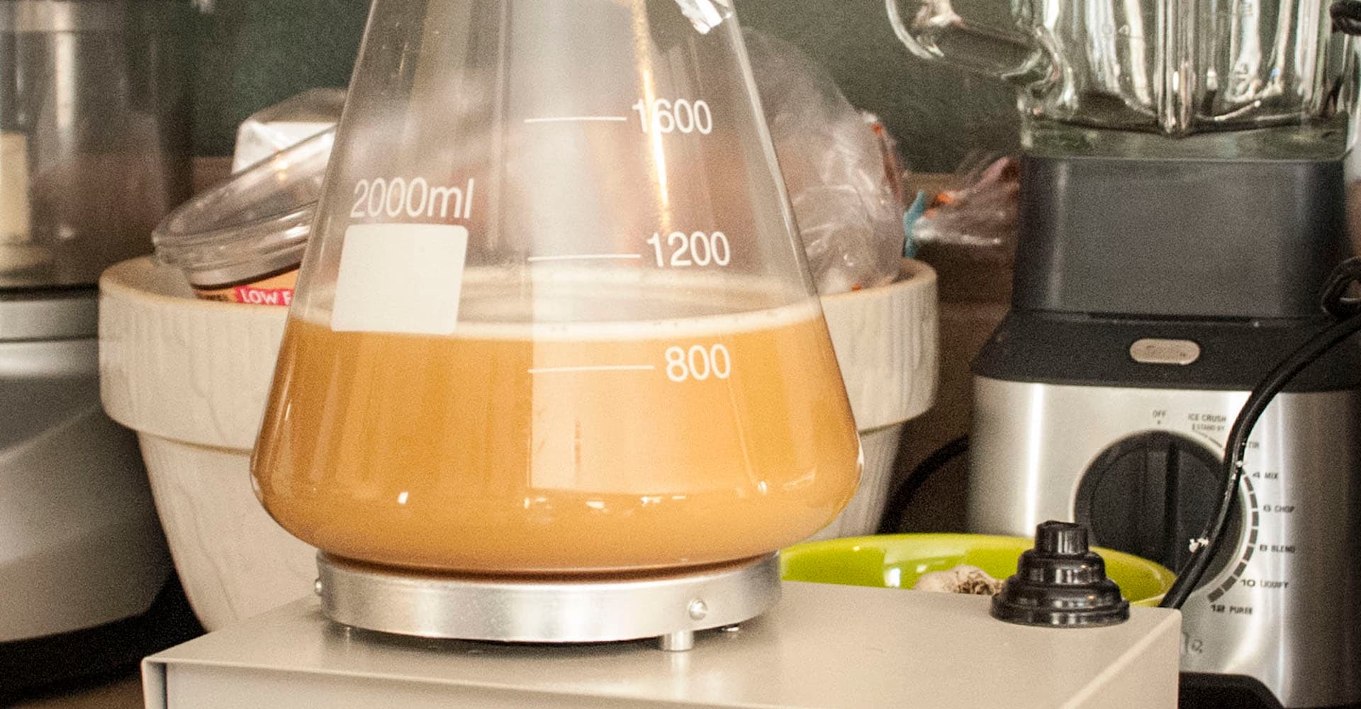 Full Video: Care and Feeding of Yeast