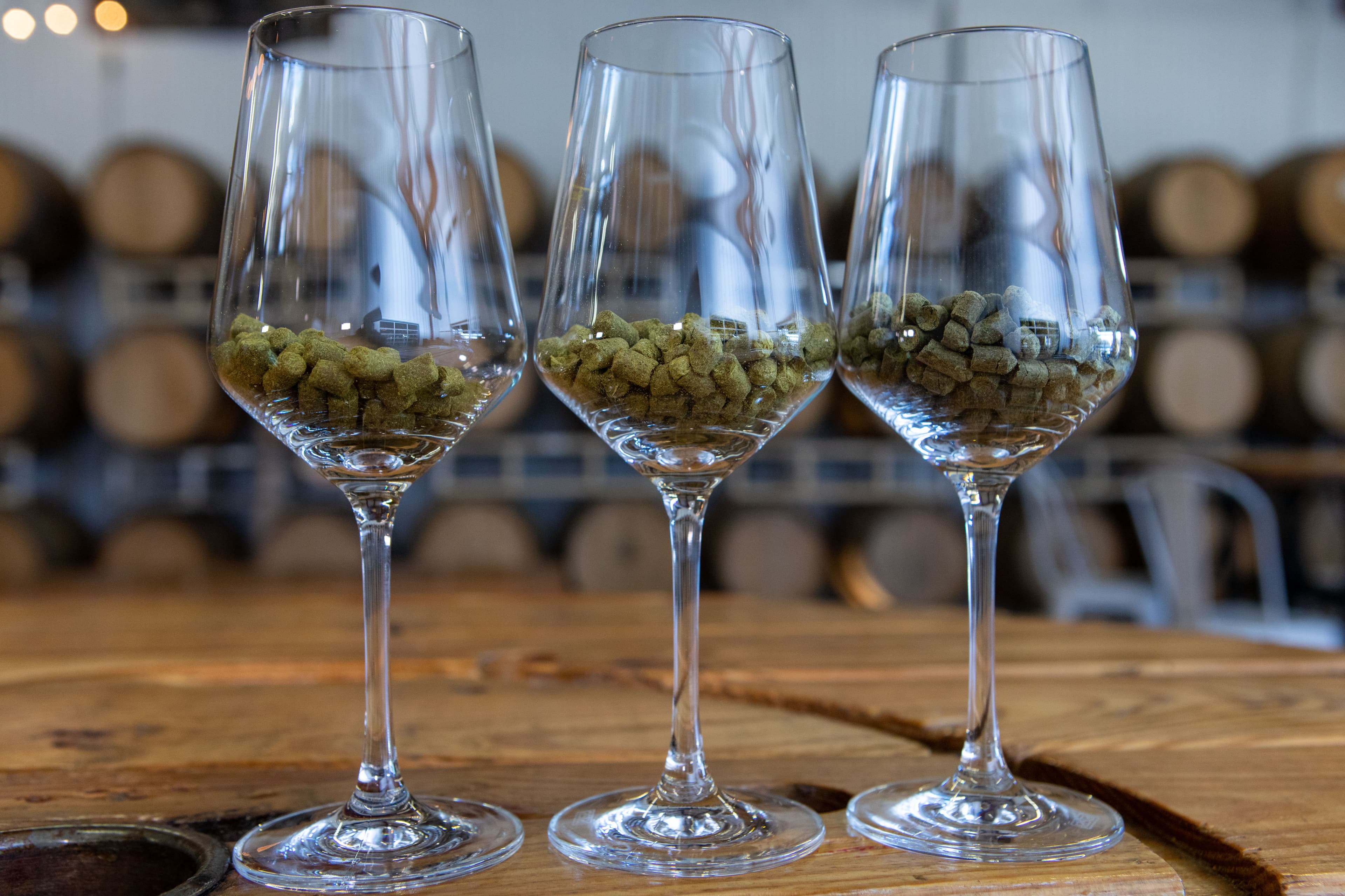 Advanced Hopping Methods with Resident Culture Brewing (Full Video)