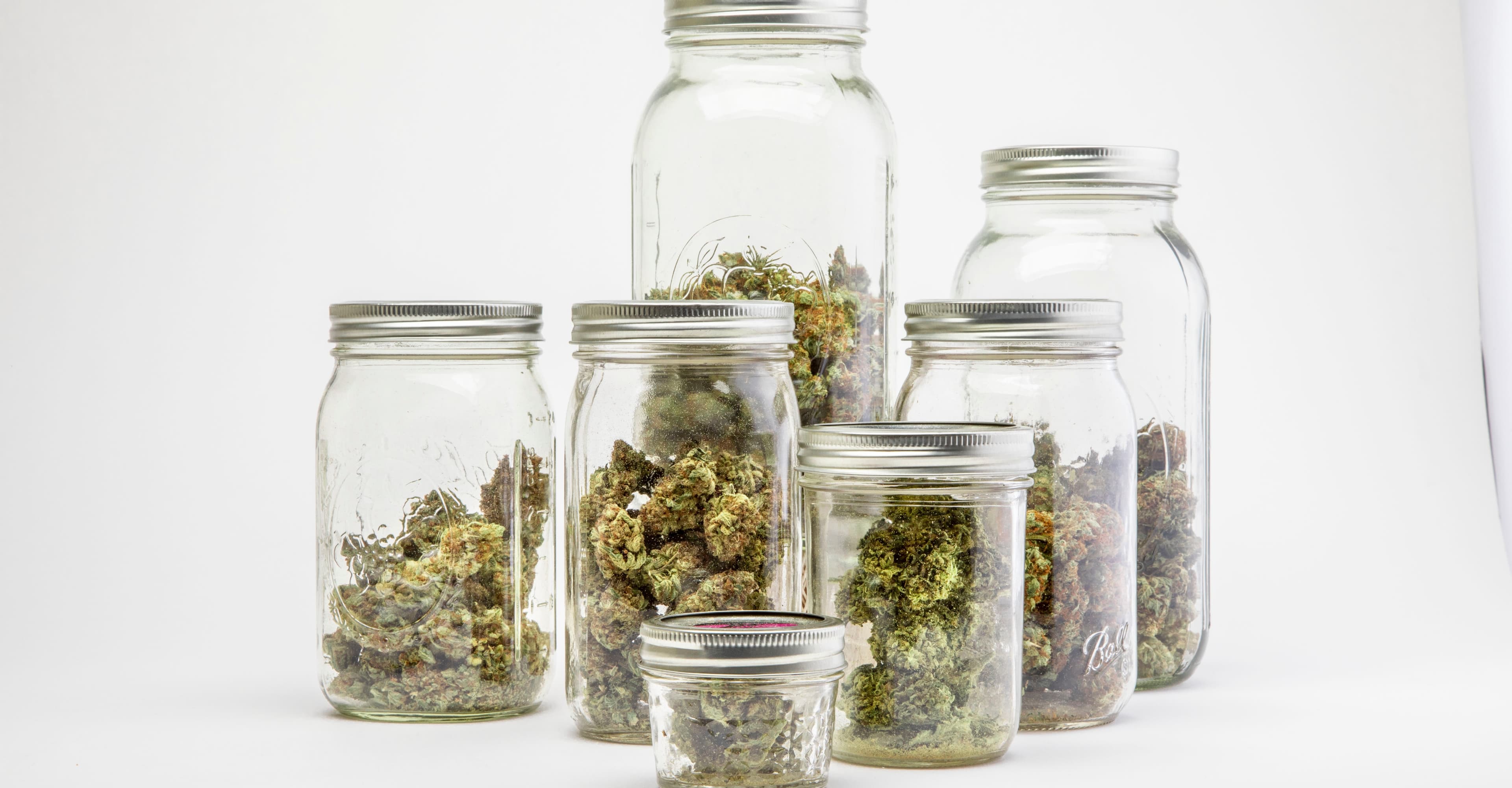 Brewing with Cannabis