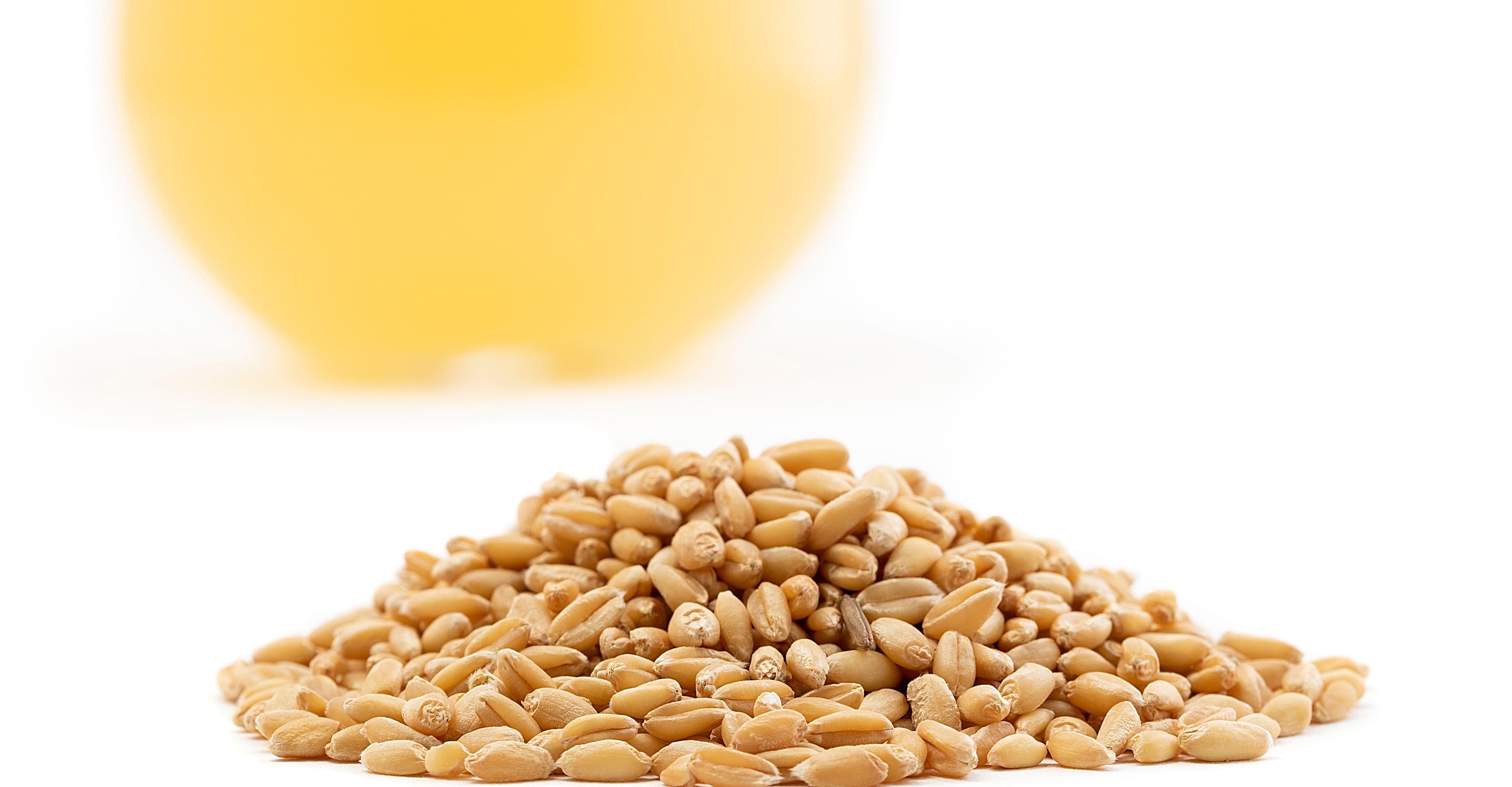 Brewing with Artisanal Wheat